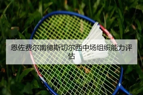 en-zuo-fei-er-nan-de-si-qie-er-xi-zhong-chang-zu-zhi-neng-li-ping-gu-2-872.jpg